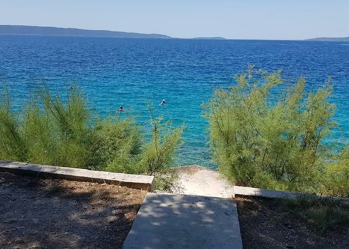 Maja تروغير