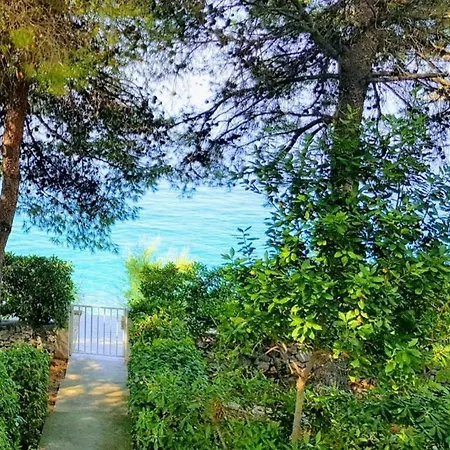 Maja Trogir